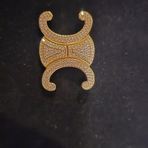 Celine Gorgeous Brooch - Picture 3 of 6